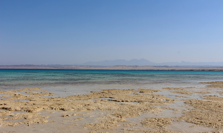 Egitto: la vita a colori di Marsa Alam